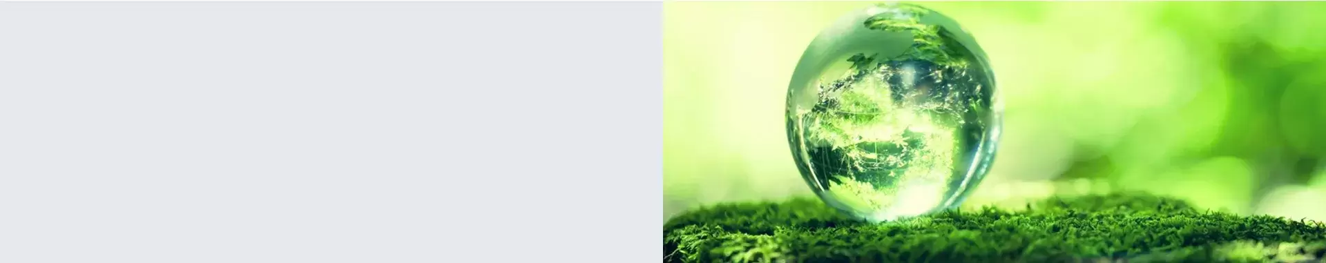 compliance-592262-1760945212